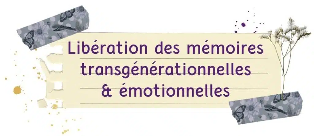 Outils utilisés pendant les stages